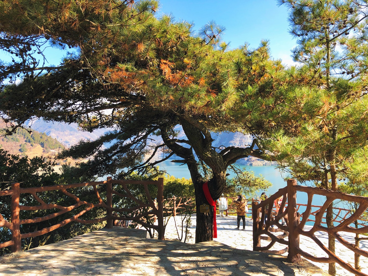 1679646904368.jpg 红军伞.jpg