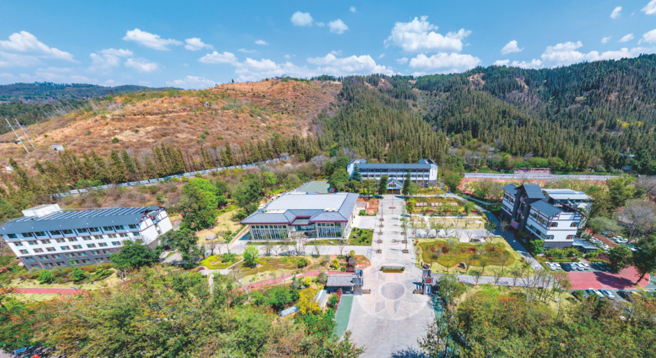 1687849987106.png 1.png